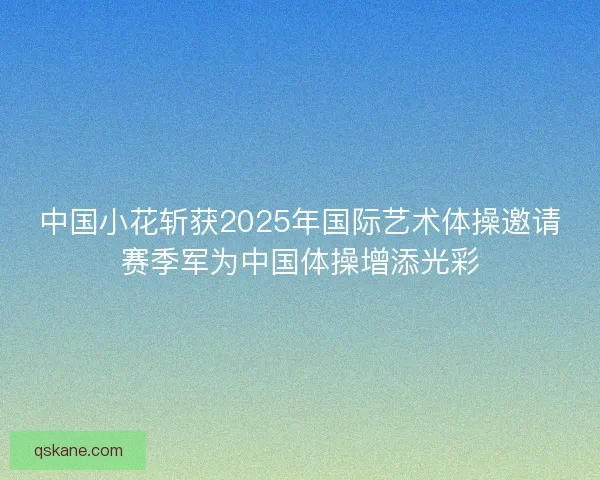 中国小花斩获2025年国际艺术体操邀请赛季军为中国体操增添光彩